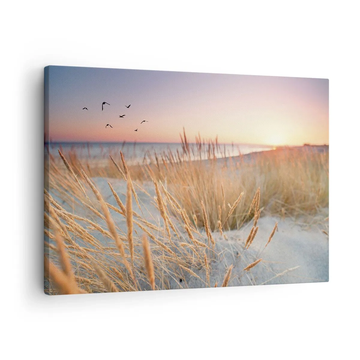 Obraz na plátně - Pláž při západu slunce s vysokou trávou - 70x50cm - Baltská ukolébavka - Moderní nástěnná dekorace do obývacího pokoje a ložnice ARTTOR