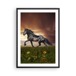 Plakát v černém rámu - Černý kůň cválá přes louku ve světle zapadajícího slunce. - 50x70cm - Černý kníže - Moderní nástěnná dekorace do obývacího pokoje a ložnice ARTTOR