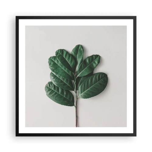 Plakát v černém rámu - Kresba samotné přírody - 60x60 cm