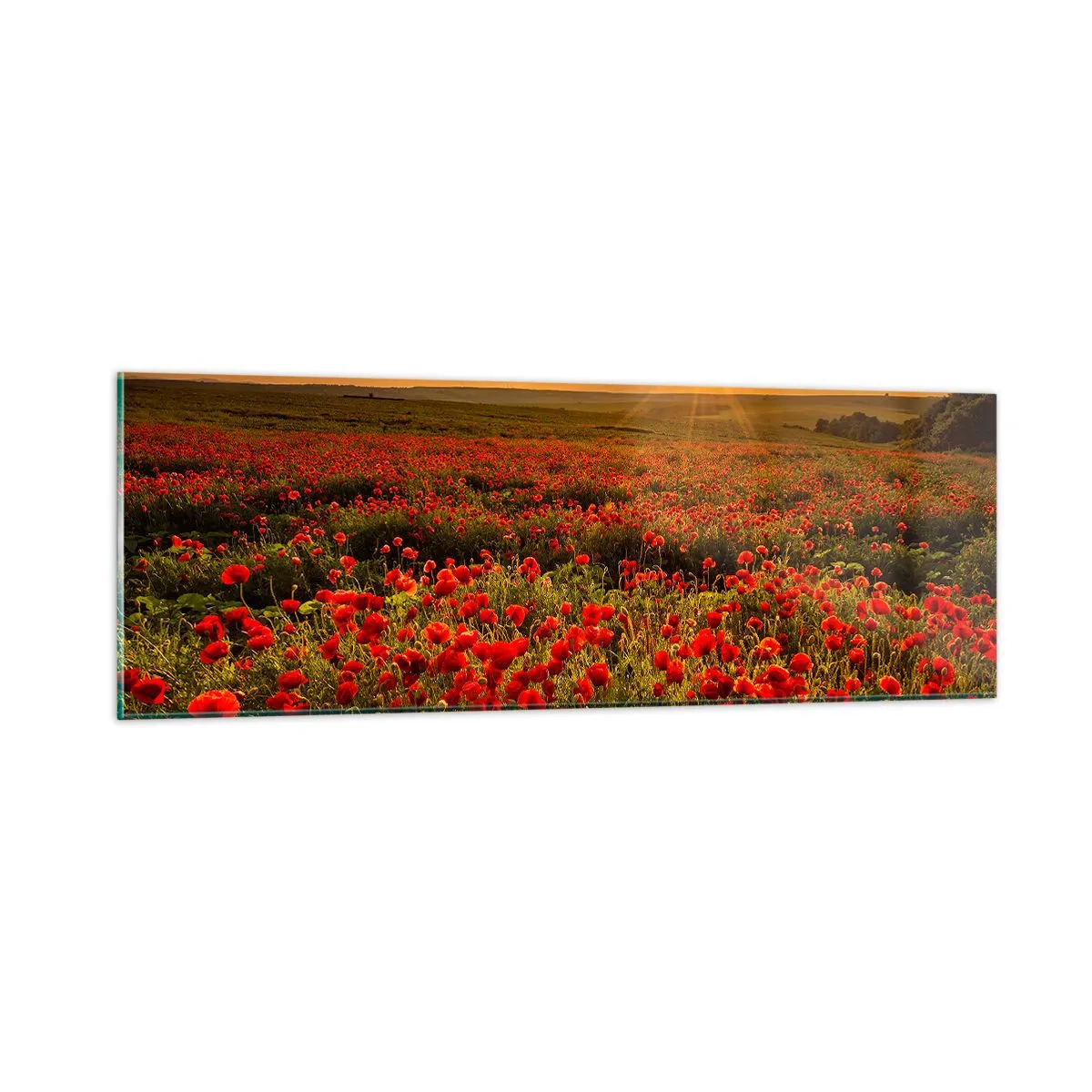 Obraz na skle - Mezi vlnami šumících luk, mezi záplavou květů - 90x30 cm