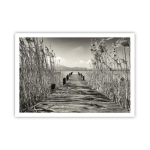 Plakát - V ústraní travin - 100x70 cm