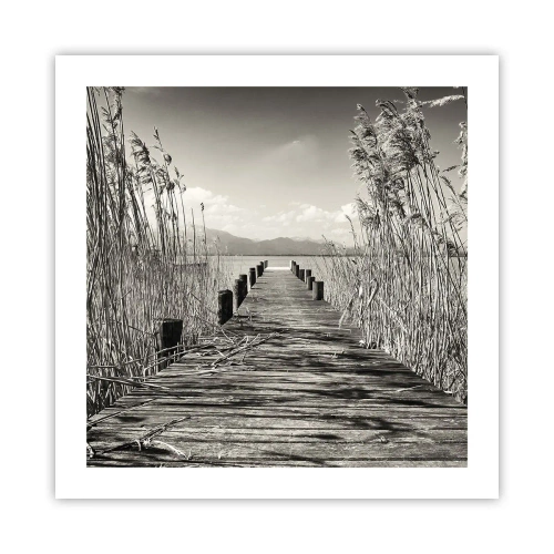 Plakát - V ústraní travin - 50x50 cm