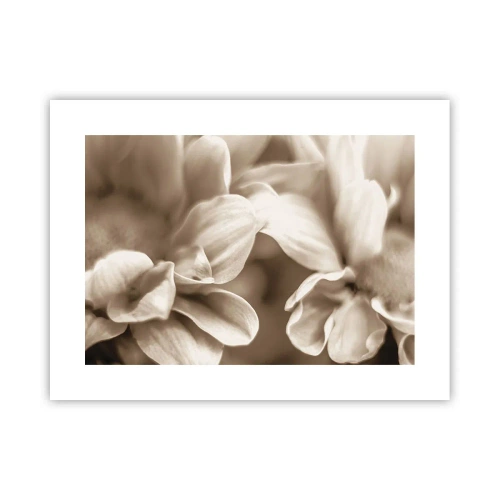 Plakát - Něžné jako úsměv - 40x30 cm