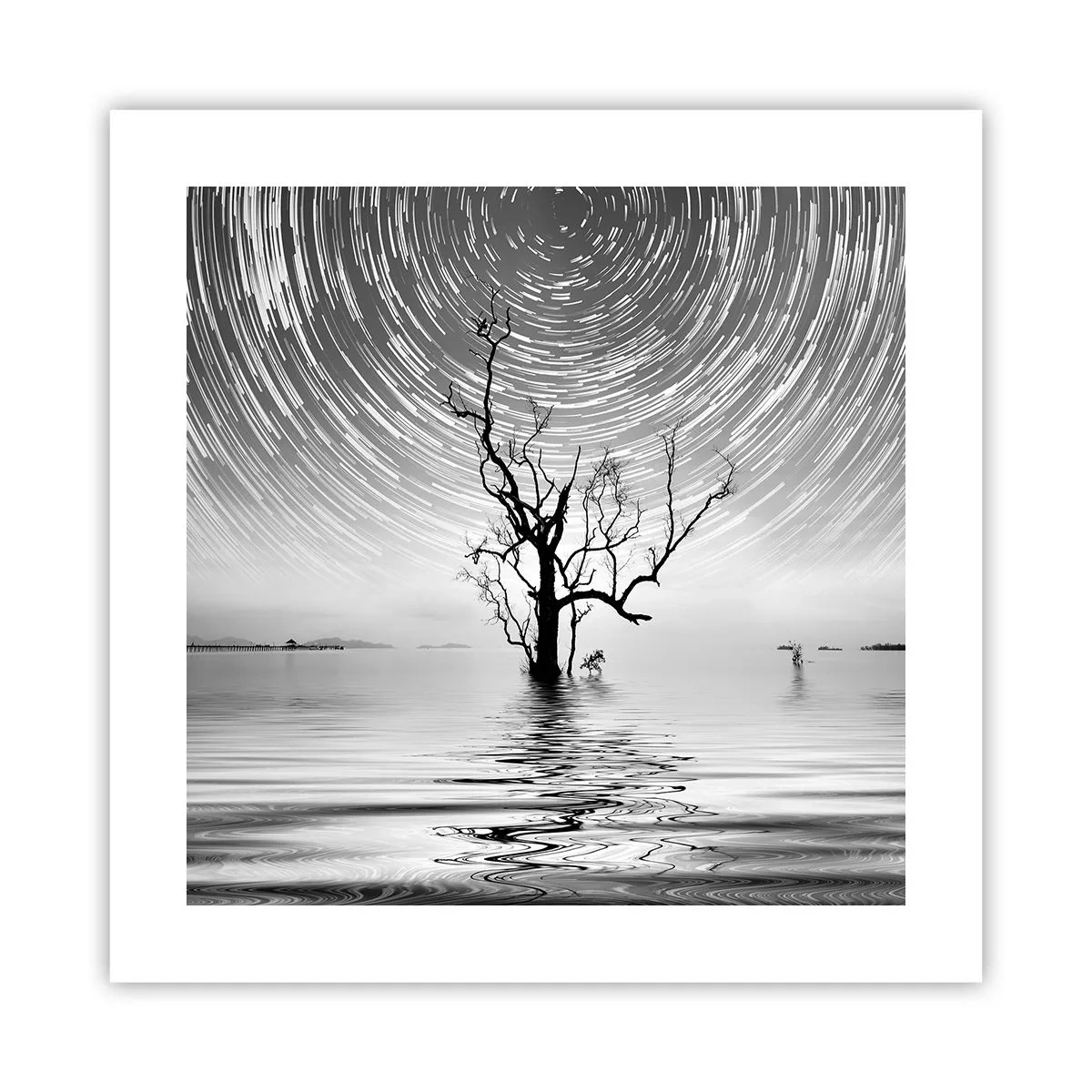 Plakát - Symfonie přírody - 40x40 cm