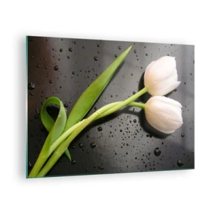 Obraz na skle - Bílé tulipány na pozadí s kapkami vody - 70x50cm - Jarní vazba - Moderní nástěnná dekorace do obývacího pokoje a ložnice ARTTOR