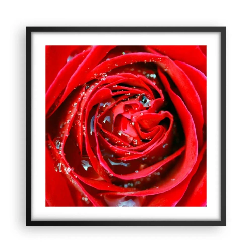 Plakát v černém rámu - V kapkách rosy - 50x50 cm