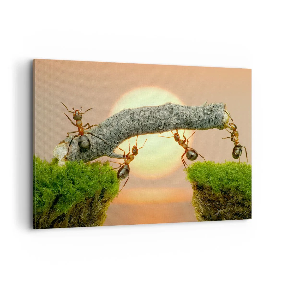 Obraz na plátně - Radostná, společná práce - 120x80 cm