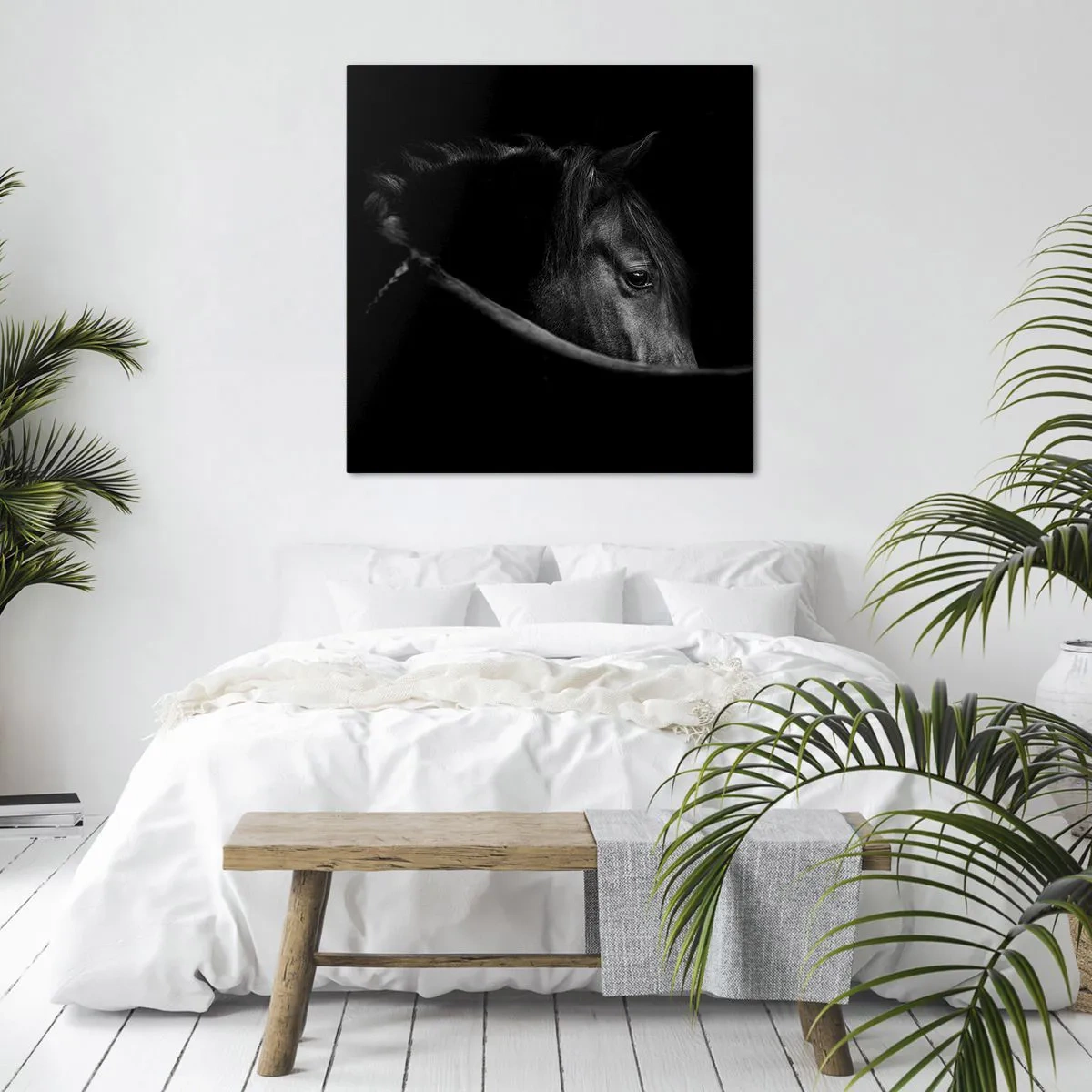 Obraz na plátně - Černý kníže - 60x60 cm