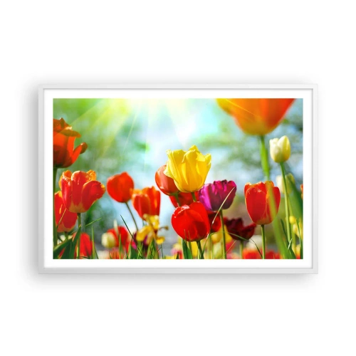 Plakát v bílém rámu - Všechny barvy slunce - 91x61 cm