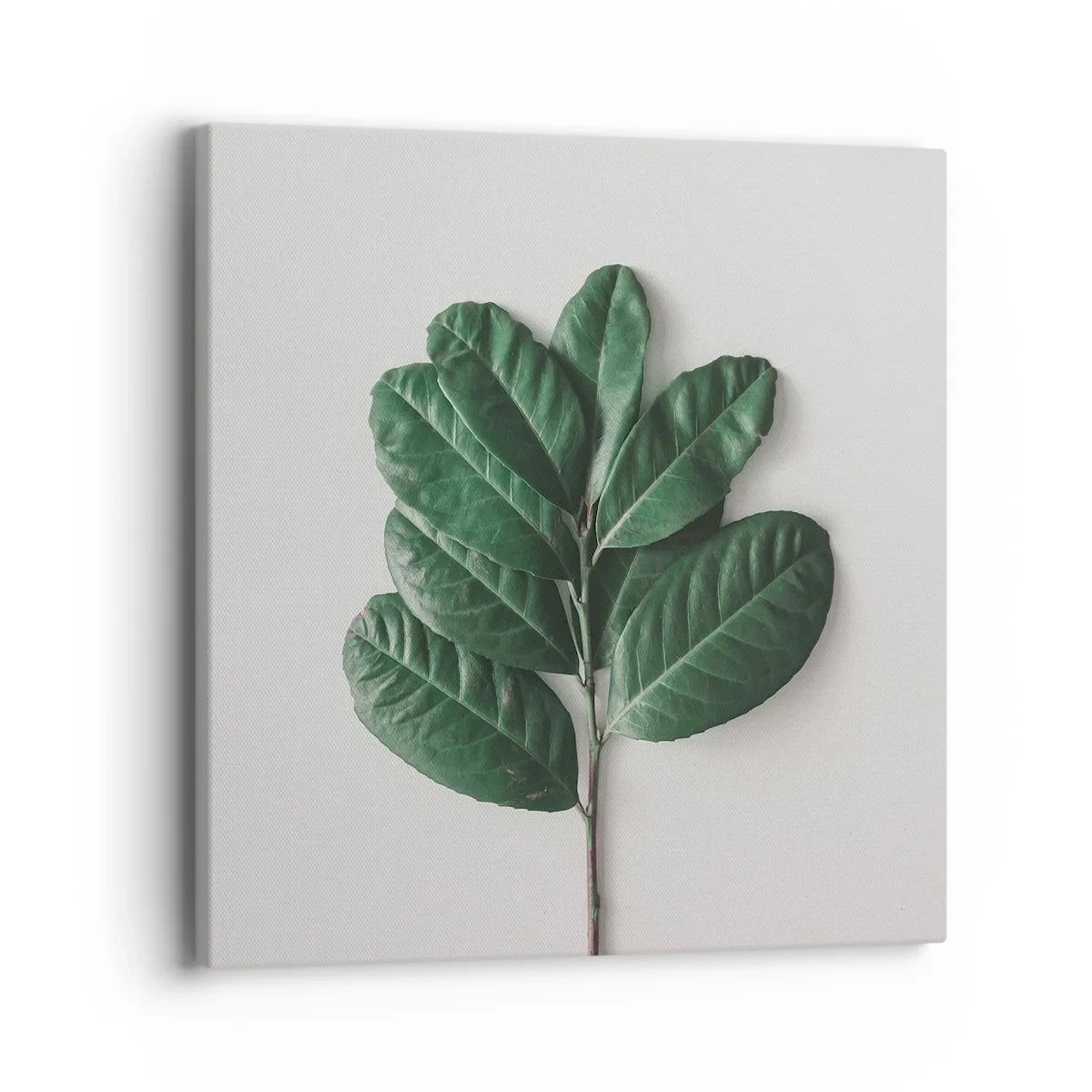 Obraz na plátně - Kresba samotné přírody - 40x40 cm