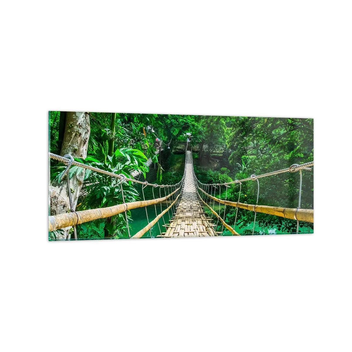 Obraz na skle - Opičí most nad zelení - 120x50 cm