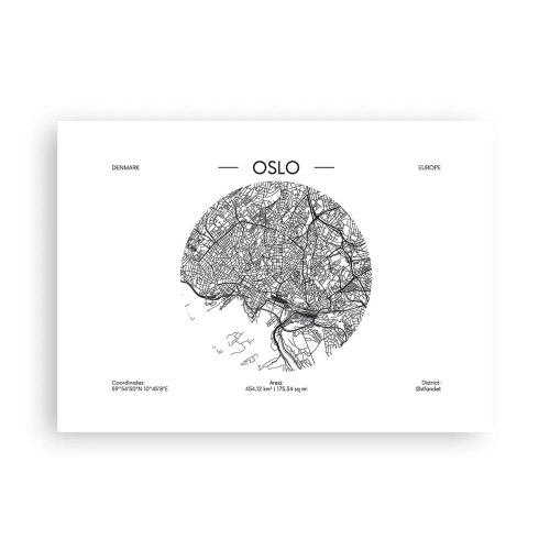 Plakát - Anatomie Osla - 70x50 cm