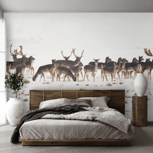 Fototapeta Premium Canvas - Budou svátky? - Zvířata, Jelen, Příroda - 100x70 cm