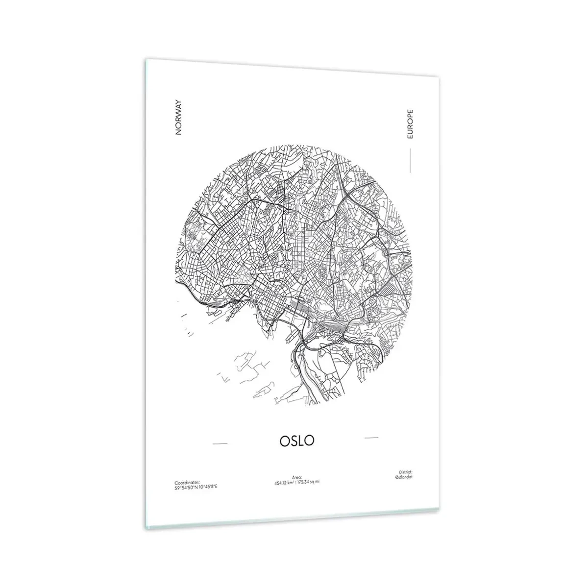 Obraz na skle - Anatomie Osla - 50x70 cm