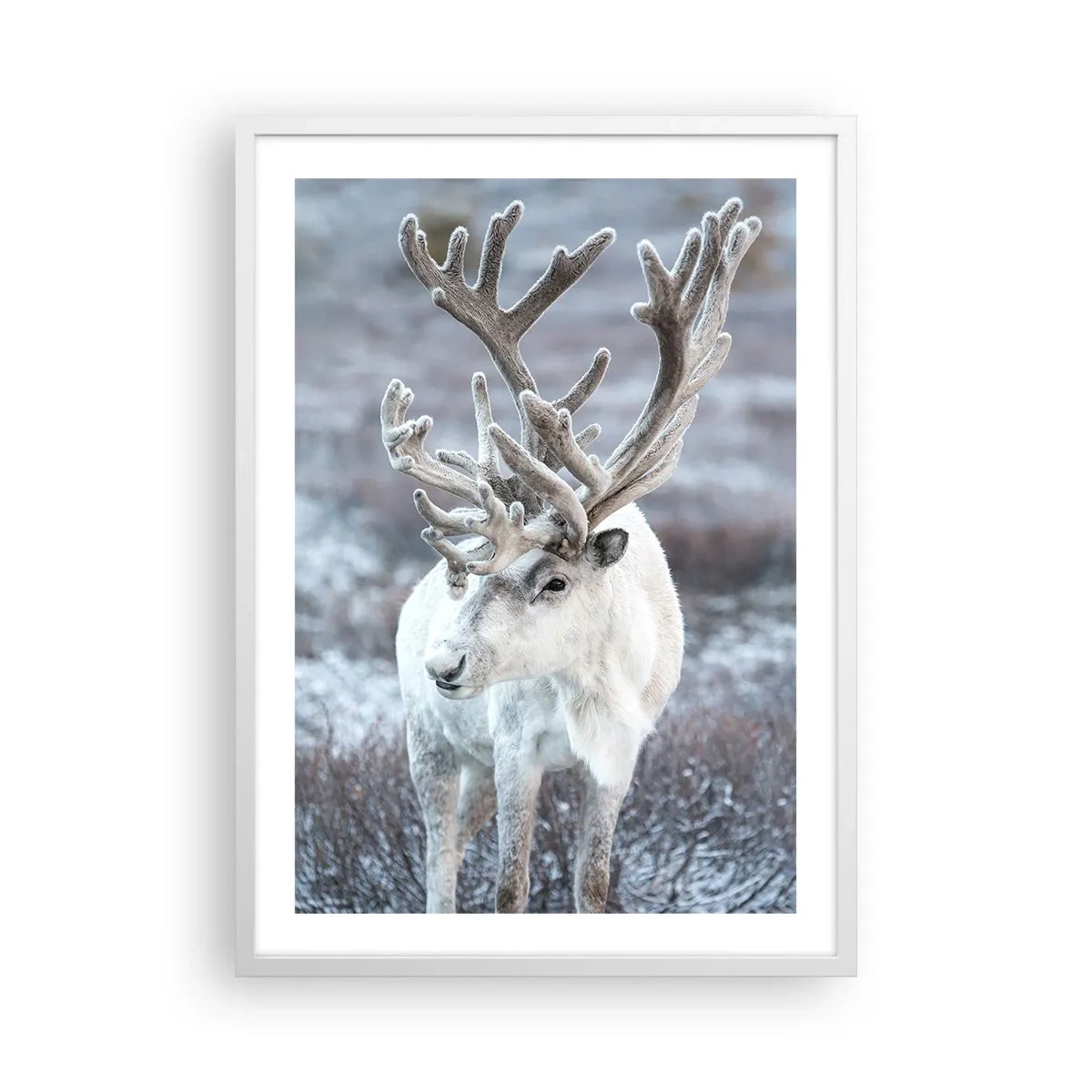 Plakát v bílém rámu - Sluneční portrét - 50x70 cm