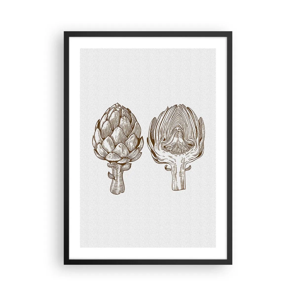 Plakát v černém rámu - Vintage ilustrace dvou artyčoků - 50x70cm - Hodiny anatomie - Moderní nástěnná dekorace do obývacího pokoje a ložnice ARTTOR