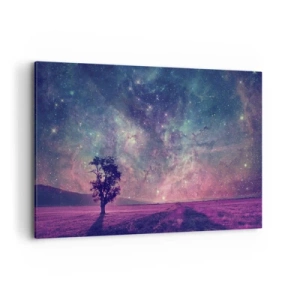 Obraz na plátně - Pod magickou oblohou - 120x80 cm