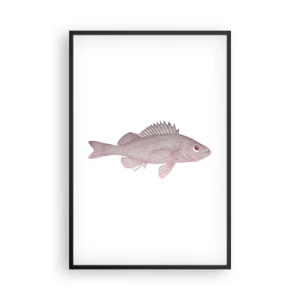 Plakát v černém rámu - Ryba s velkýma očima - 61x91 cm