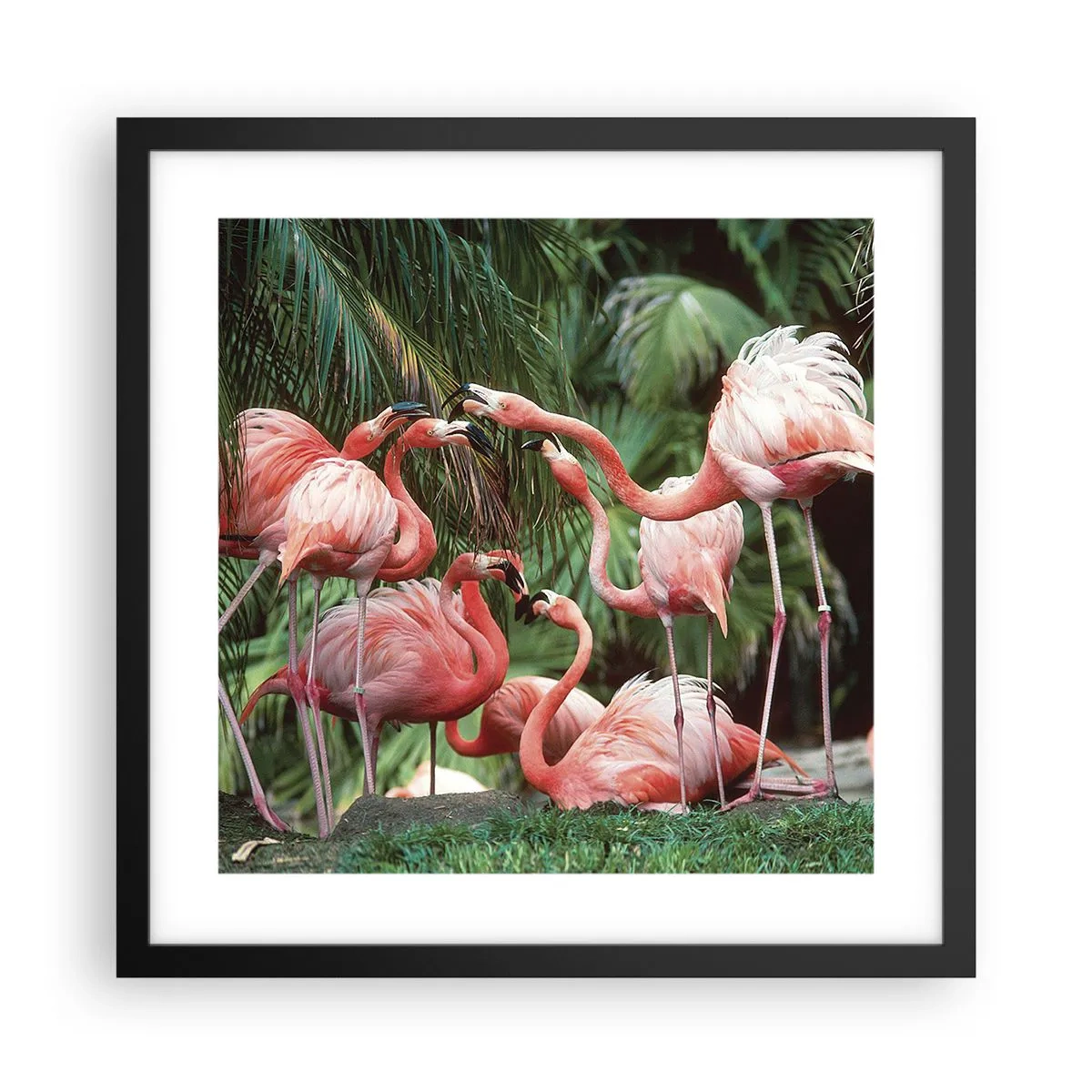 Plakát v černém rámu - Odpolední drby - 40x40 cm