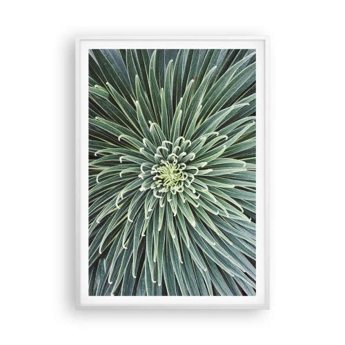 Plakát v bílém rámu - Zrození hvězdy - 70x100 cm