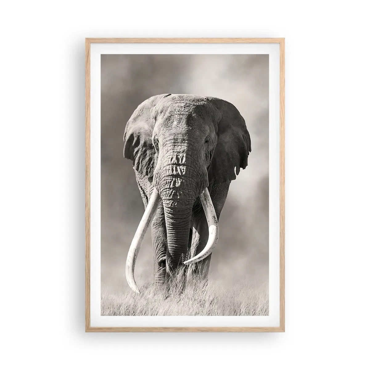 Plakát v rámu světlý dub - Africký patriarcha - 61x91 cm