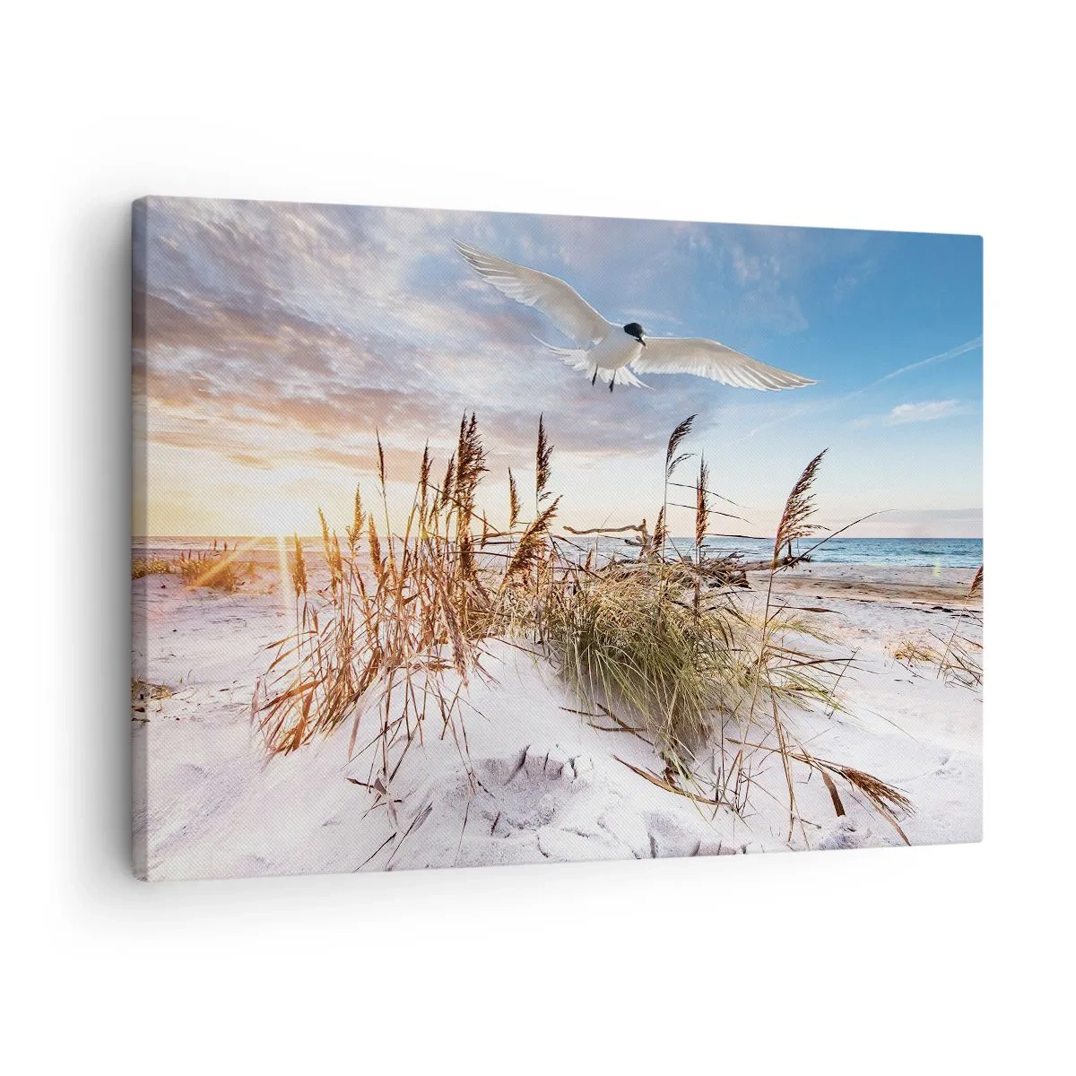 Obraz na plátně - Pláž s racky létajícími při západu slunce - 70x50cm - Vítr od moře - Moderní nástěnná dekorace do obývacího pokoje a ložnice ARTTOR