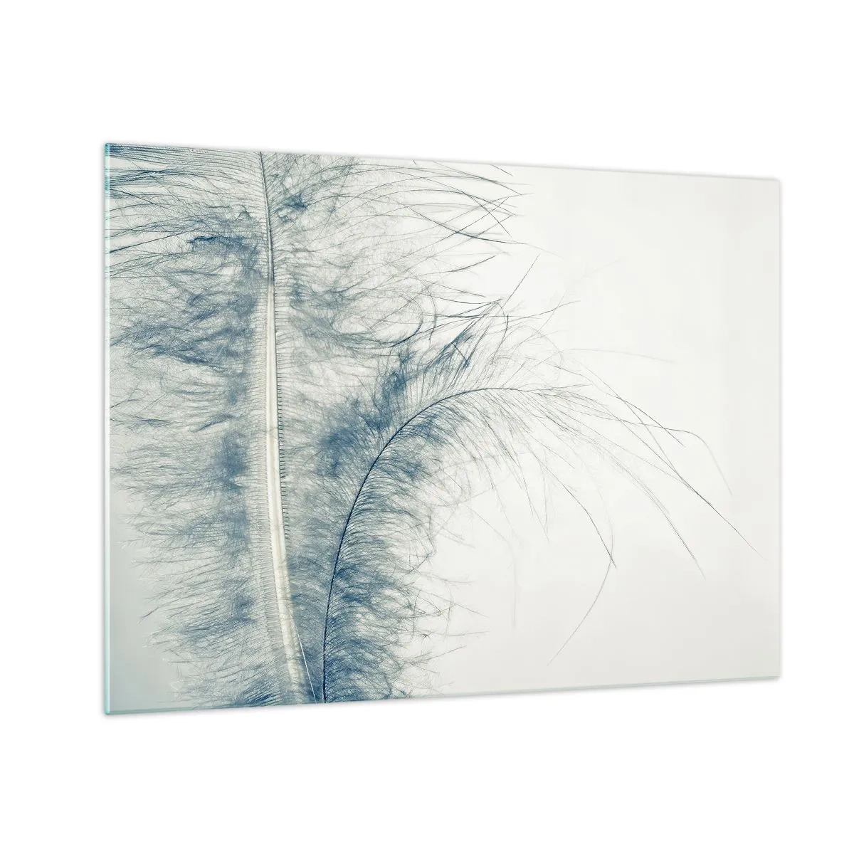 Obraz na skle - Jemné pírko na světlém pozadí v minimalistickém stylu - 70x50cm - Šepot přírody - Moderní nástěnná dekorace do obývacího pokoje a ložnice ARTTOR