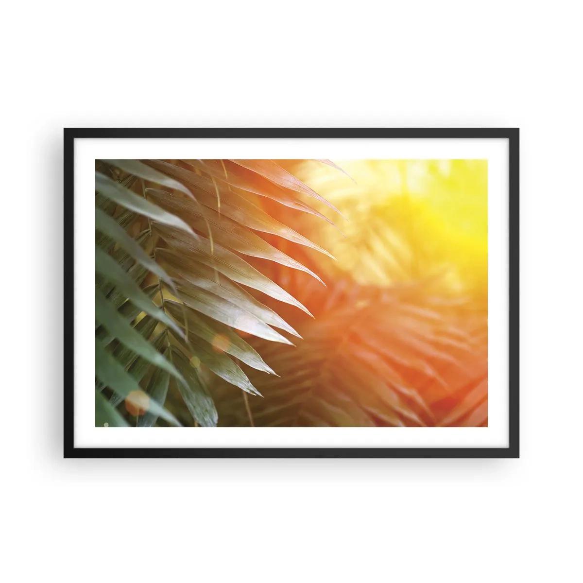 Plakát v černém rámu - Ráno v džungli - 70x50 cm