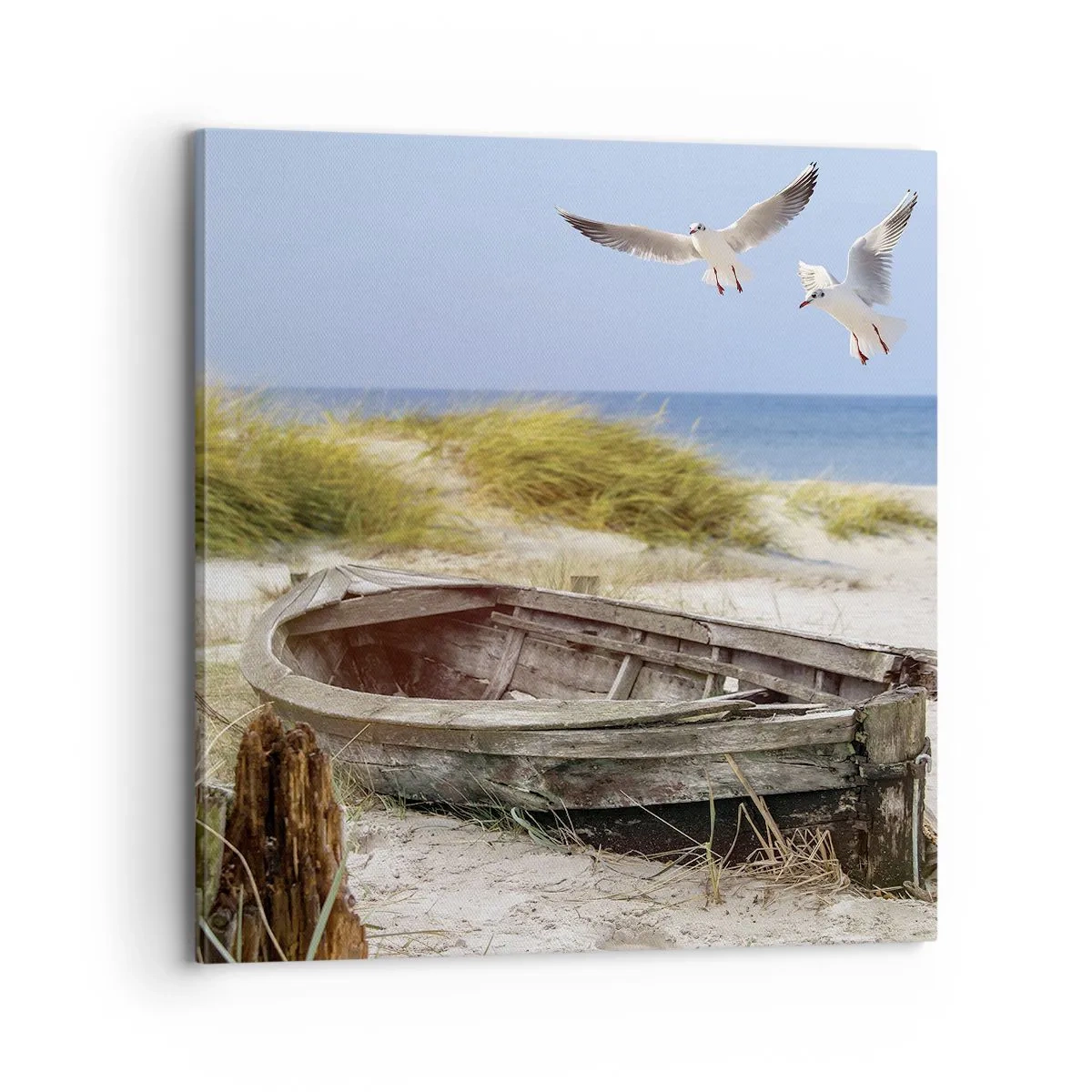 Obraz na plátně - Větrem ozářené - 70x70 cm