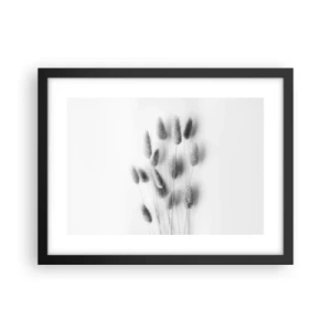 Plakát v černém rámu - Její načechranost tráva - 40x30 cm
