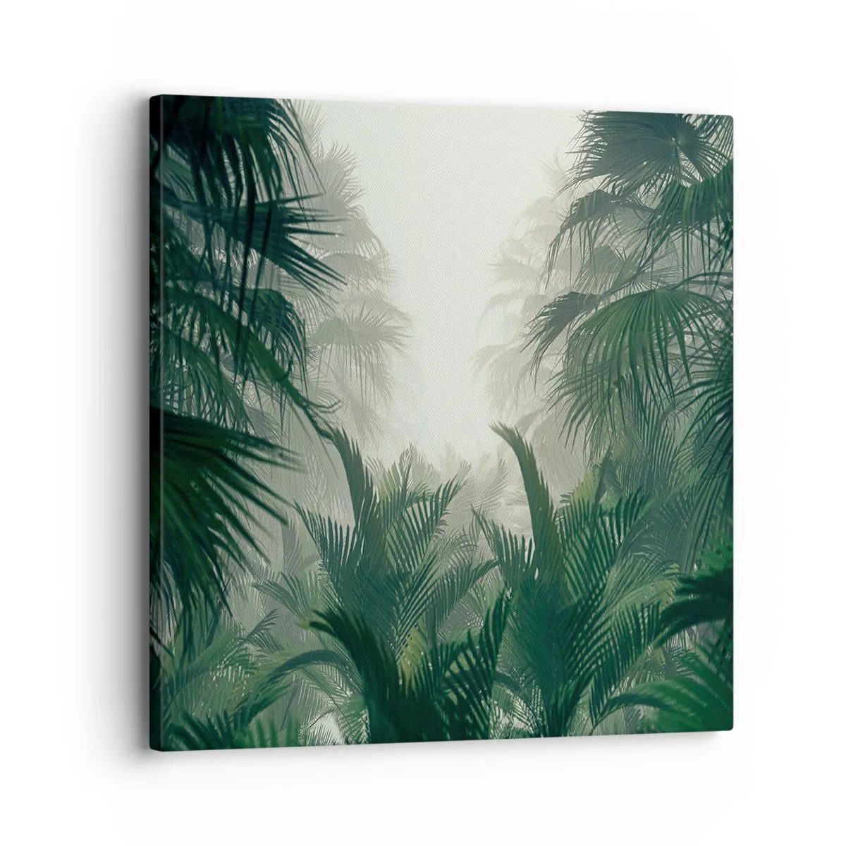 Obraz na plátně - Tropická záhada - 30x30 cm