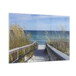 Obraz na skle - Na slunci, ve větru - 100x70 cm