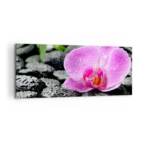 Obraz na plátně - Jako otevřené srdce - 100x40 cm