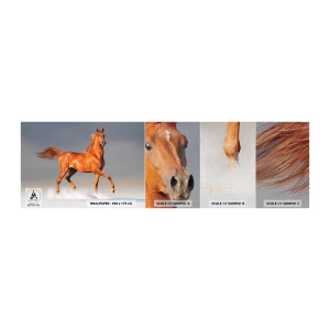 Vzor Fototapety Premium Canvas - Tančící elegance - Zvířata, Kůň, Příroda - 100x30 cm
