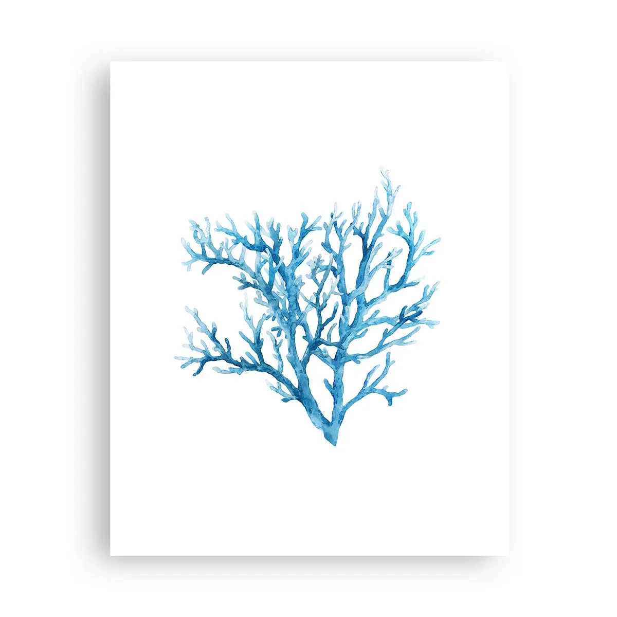 Plakát - Mořský filigrán - 40x50 cm