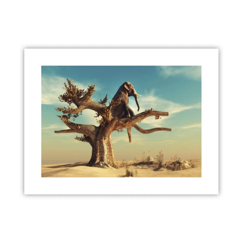 Plakát - Nový úhel pohledu - 40x30 cm