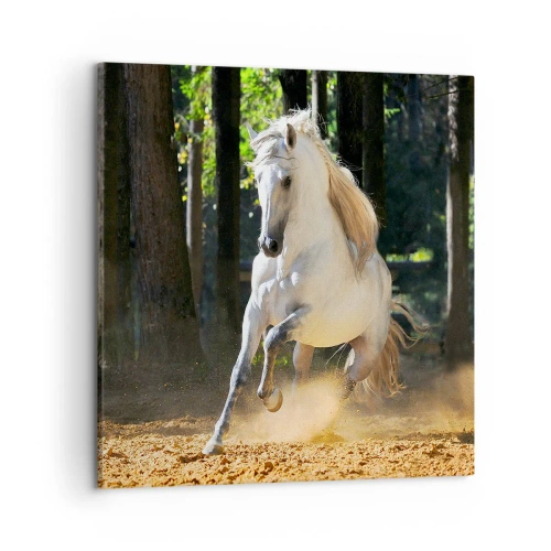 Obraz na plátně - Jako z fantasy románu - 50x50 cm