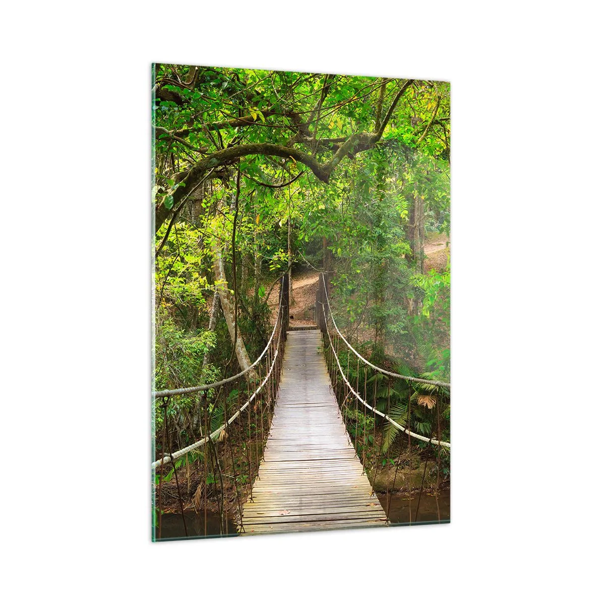 Obraz na skle - Protože na zahradě rostou popínavé rostliny - 50x70 cm