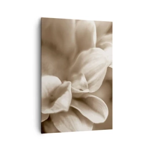 Obraz na plátně - Něžné jako úsměv - 70x100 cm