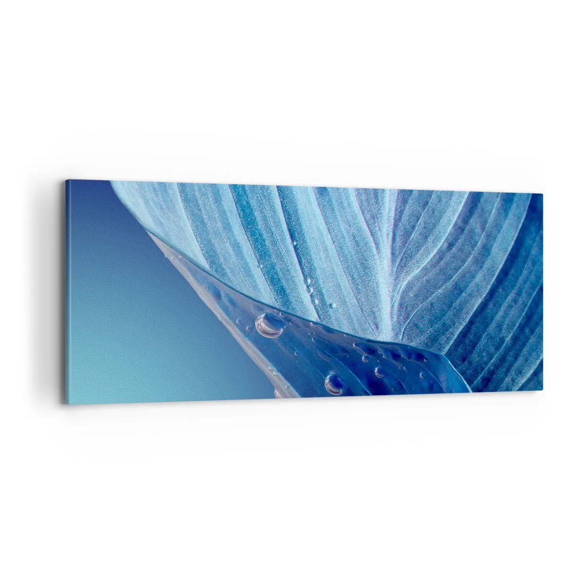 Obraz na plátně - Skryté kapky modři - 100x40 cm