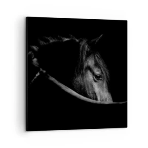 Obraz na plátně - Černý kníže - 50x50 cm