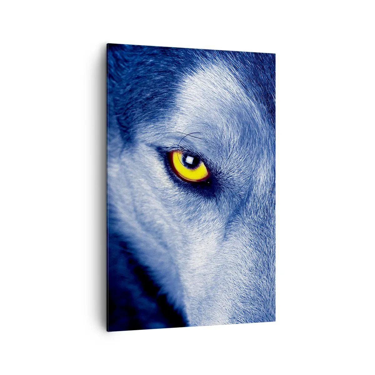 Obraz na plátně - Fascinující pohled - 80x120 cm