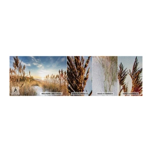 Vzor Fototapety Premium Sand - Severní pláž - Krajina, Moře, Pláž - 100x30 cm