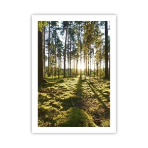 Plakát - …Za sedmero lesy - 50x70 cm