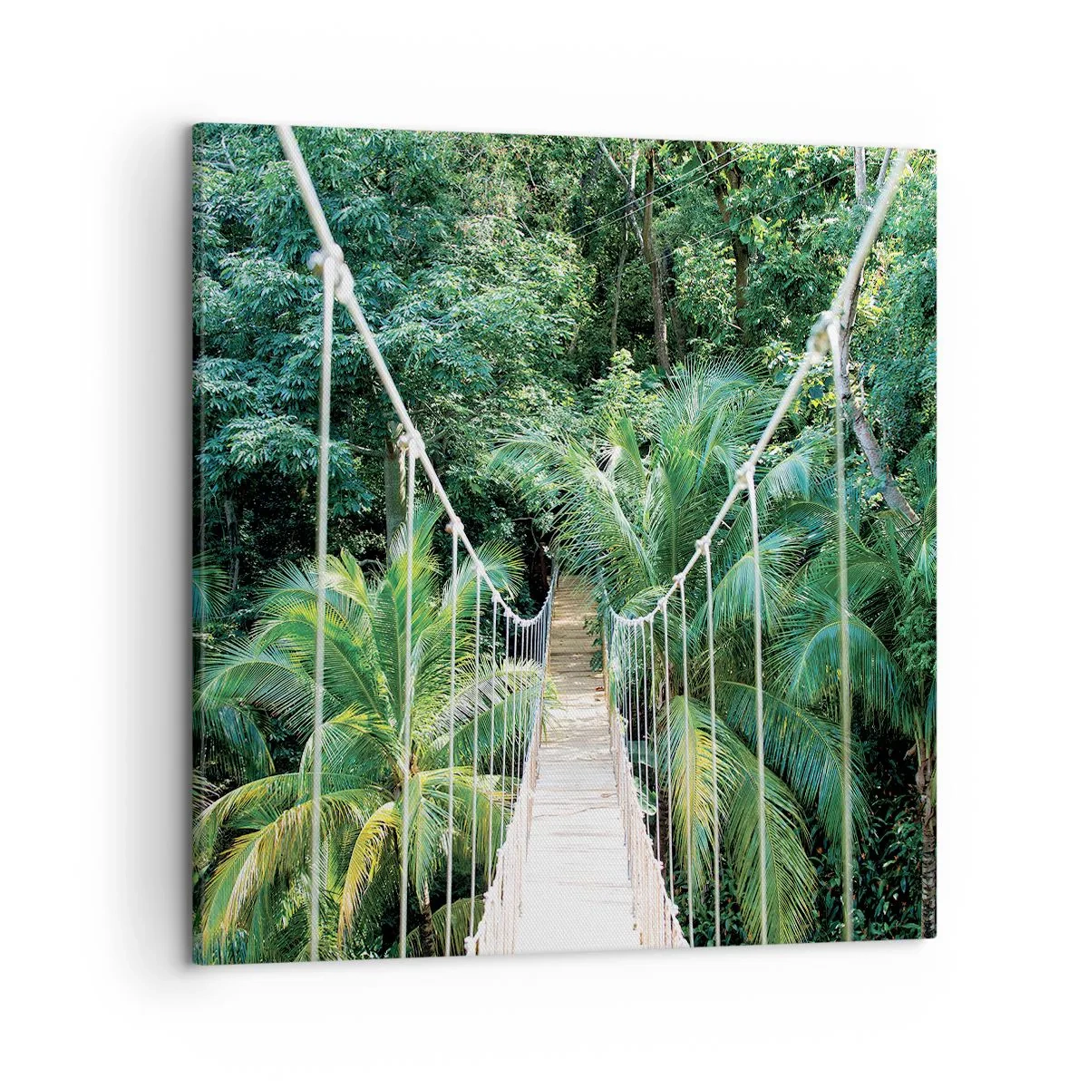 Obraz na plátně - Welcome to the jungle! - 50x50 cm