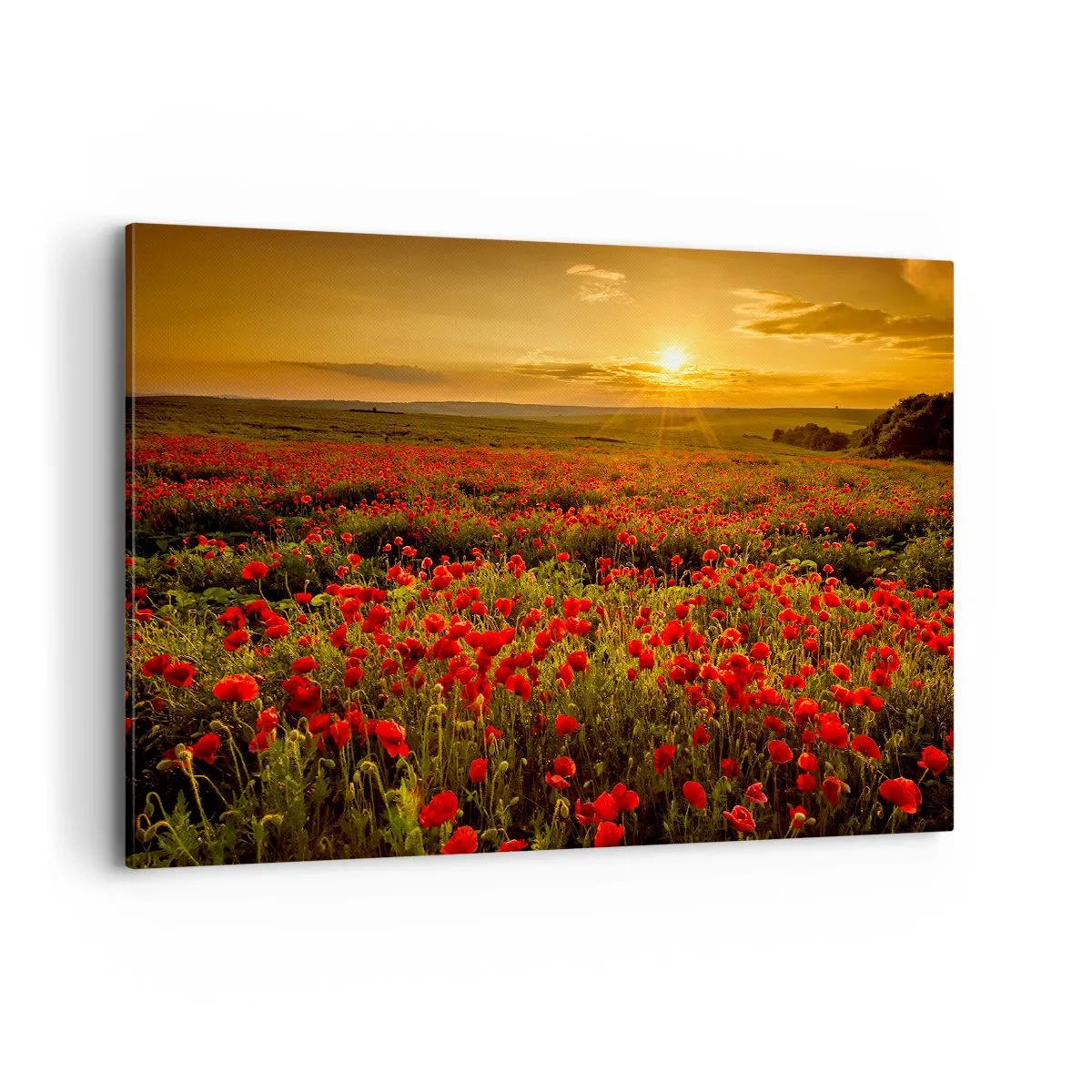 Obraz na plátně - Mezi vlnami šumících luk, mezi záplavou květů - 120x80 cm
