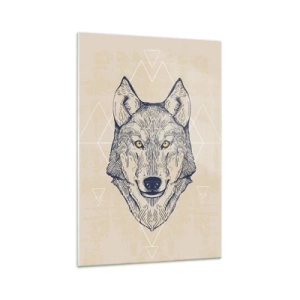 Obraz na skle - Alfa o pronikavém pohledu - 70x100 cm