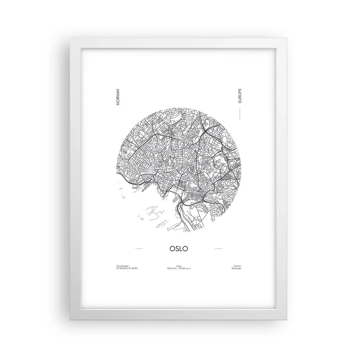 Plakát v bílém rámu - Anatomie Osla - 30x40 cm