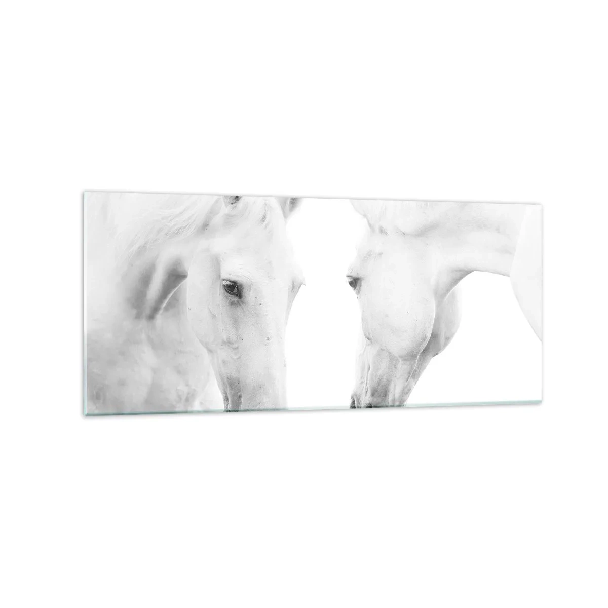 Obraz na skle - Je to přátelství…? - 120x50 cm