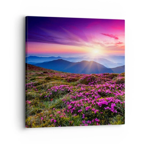 Obraz na plátně - Zavoněly svěží pupeny bylinek z obilných polí - 30x30 cm